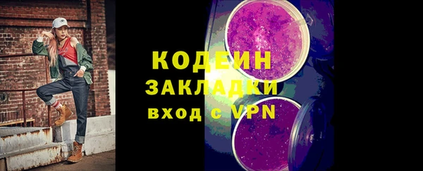 гашик Ладушкин