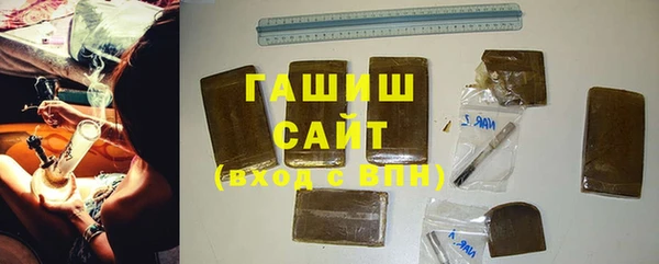 гашик Ладушкин
