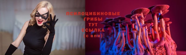 спиды Абаза
