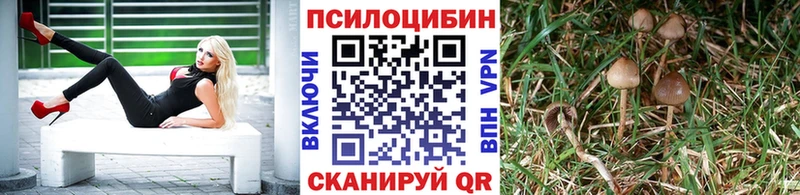 Галлюциногенные грибы Magic Shrooms  Новокузнецк 