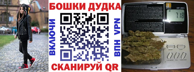 Конопля сатива  Новокузнецк 